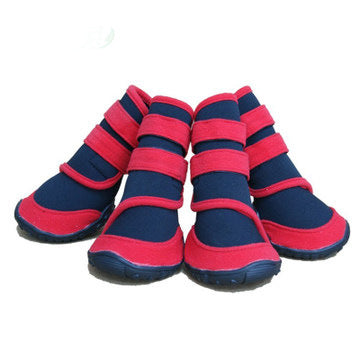 Why Your Pet Deserves Waterproof Shoes